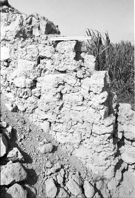 Plastered wall with finger smearing marks at Site 10