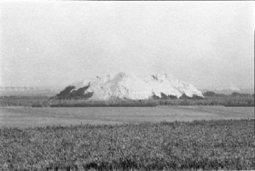 Huaca Rosario (Site 44)