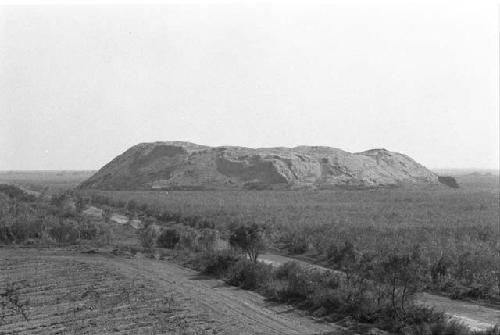 General view of Site 19