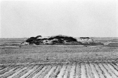 General view of Site 22