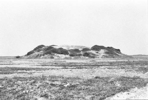 General view of Site 22 with Huaqueros