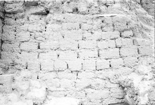 Cane-marked adobe at Site 29