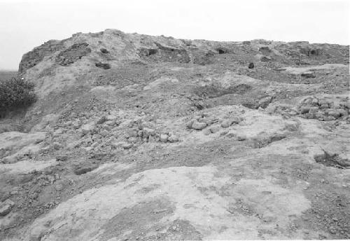 Looted top of huaca at Site 29