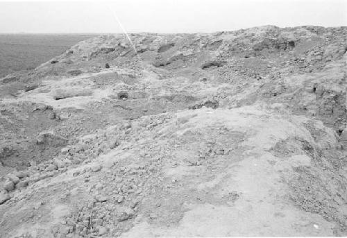 Looted top of huaca at Site 29