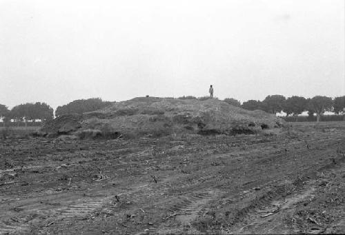 General view of Site 30