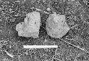 Two mound shaped bricks at Site 30