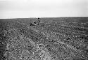 Examining artifact scatter in fields at Site 32