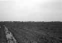 Mounds at Site 41