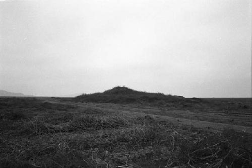 Mounds at Site 38