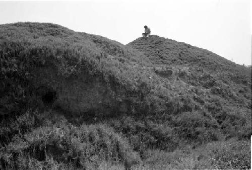 General view of Site 47