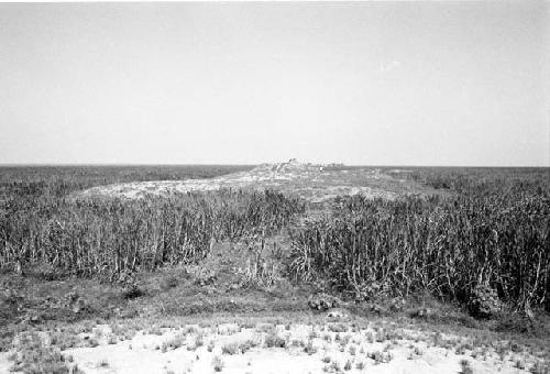 Mound at Site 53