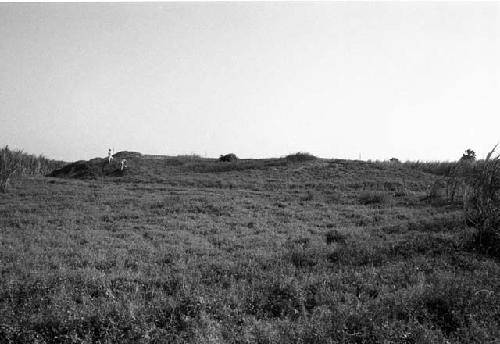 Mound at Site 55