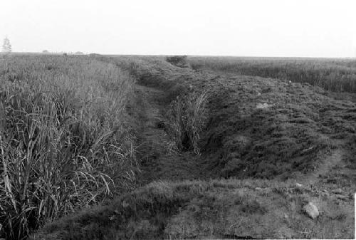 Burm and mound at Site 58