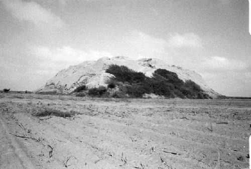 Northeast corner of huaca at Site 44