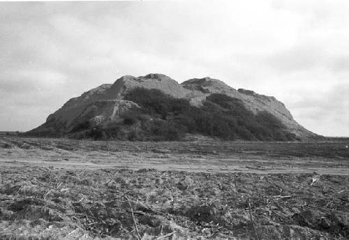 Northeast corner of huaca at Site 44