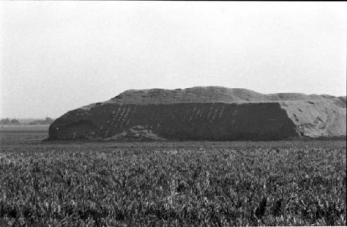 West wall of Site 61