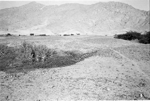 Main section of Site 72