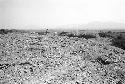 Looted cemetery on Hill 2, with Hill 3 in background, at Site 73