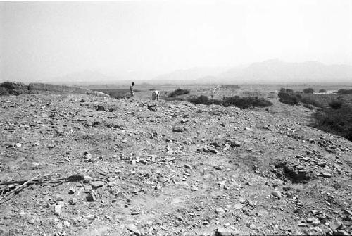 Looted cemetery on Hill 2, with Hill 3 in background, at Site 73