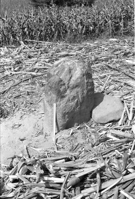 Standing monolith at Site 73