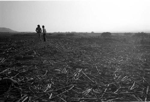 U-shaped adobe structure at Site 75