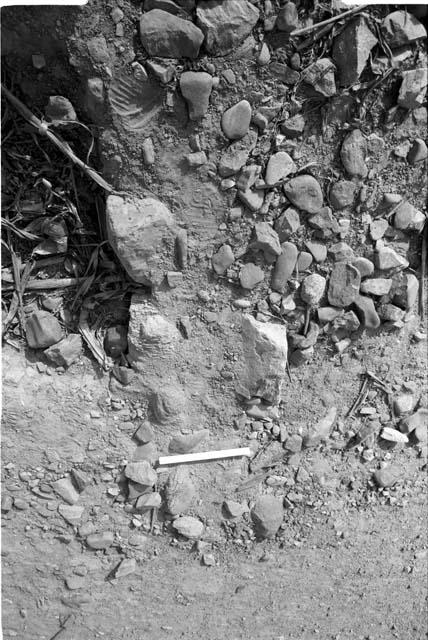 Structure on south end of site wall foundation at Site 75