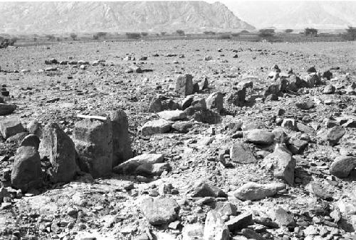 Row of short upright slabs near platform at Site 76