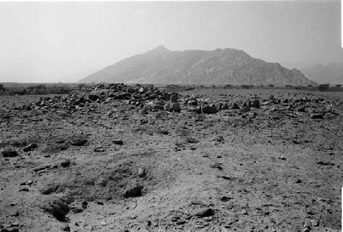 Platform and row of upright slabs at Site 76