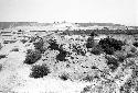 Adobe wall on Hill 4 at Site 78