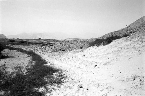 Platforms at Site 80