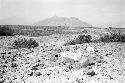 Possible looted tomb at Site 80