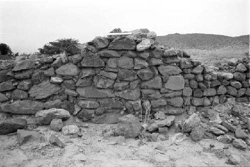 South exterior wall of main structure at Site 85