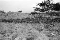 Adobe wall on north side of main structure at Site 85