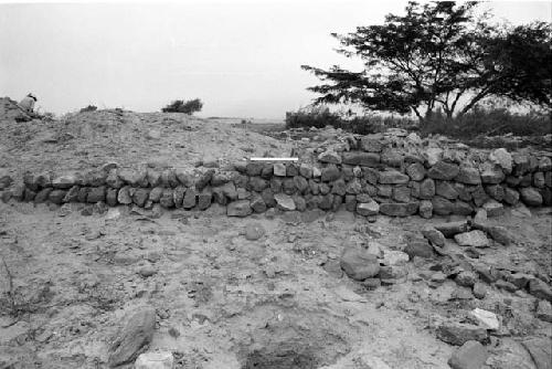 Adobe wall on north side of main structure at Site 85