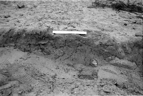 Structure 2 on ridge at Site 85