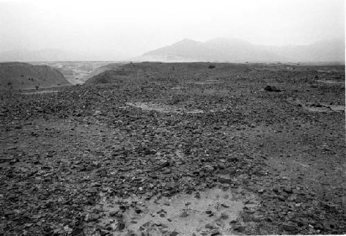 Cleared depressions at Site 90 with view up Quebrada