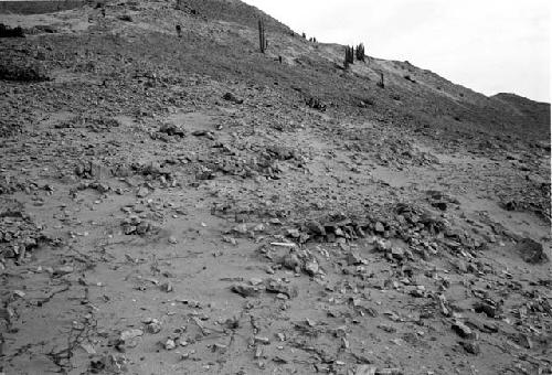 House terraces at Site 93