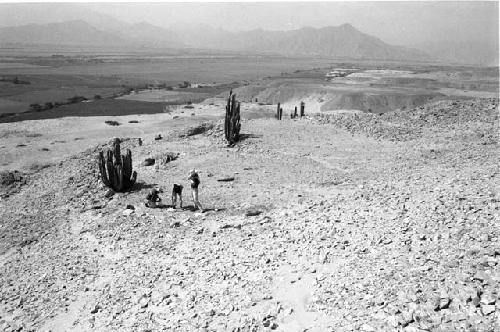 Large flat terrace east of upper platform at Site 93