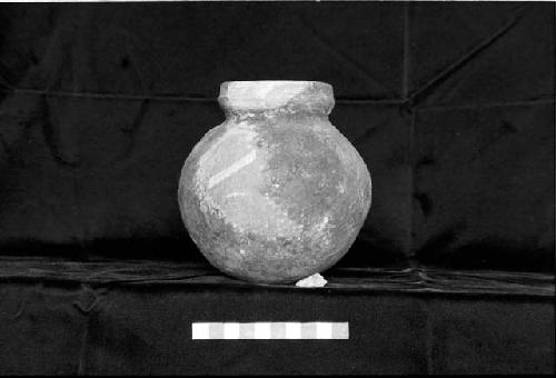 Paddle stamped olla from Site 14