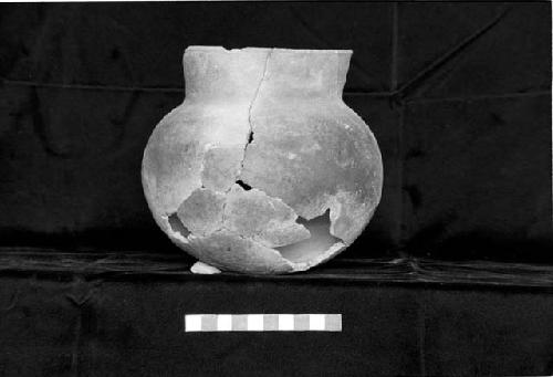 Medium slightly everted neck jar with small lip on rim from Site 93