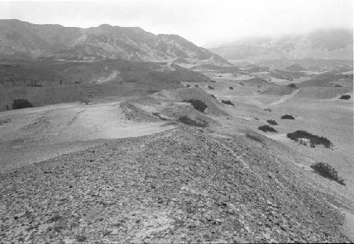 Secondary and tertiary canals in Quebrada and La Cumbre (Feature 10)