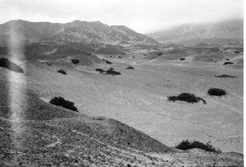 Secondary and tertiary canals in Quebrada and La Cumbre (Feature 10)