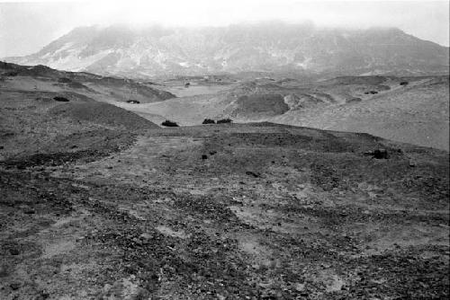 Habitation terraces at Site 110