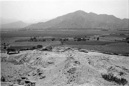 General view of Site 113