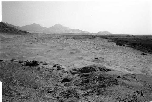 General view of Site 116