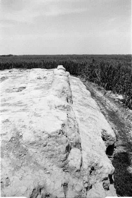 Tapial wall one east edge of top of huaca at Site 121