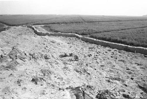 Large adobe wall and collection areas 1-3 at Site 122