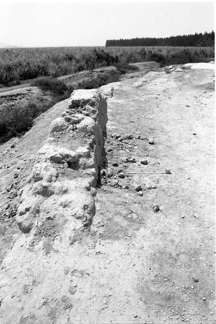 Section of wall bordering lower canal (Feature 16)