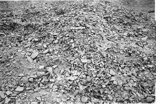 Sherd dump in ceramic production area at Site 133