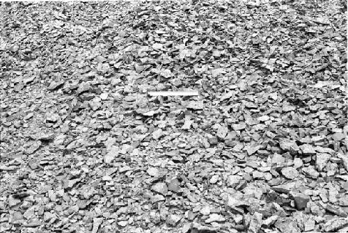 Sherd dump in ceramic production area at Site 133